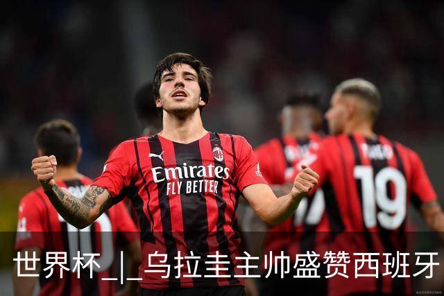世界杯 | 乌拉圭主帅盛赞西班牙“精致足球”