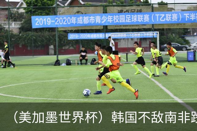 （美加墨世界杯）韩国不敌南非跌至小组第三 出线前景待定